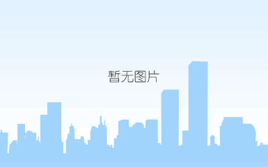anl-大号叉栓式保险丝，大叉栓保险丝，叉栓式保险丝，汽车总成保险丝